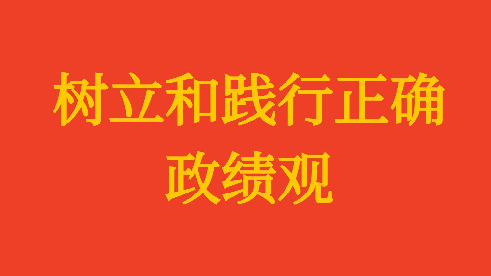 實(shí)干擔(dān)當(dāng) 為民造?！?xí)近平總書(shū)記引領(lǐng)全黨樹(shù)立和踐行正確政績(jī)觀(guān)
